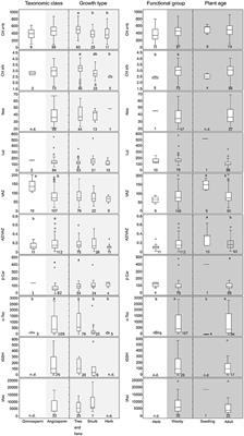 Photoprotective Strategies of Mediterranean Plants in Relation to Morphological Traits and Natural Environmental Pressure: A Meta-Analytical Approach